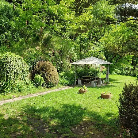 Tatil Evi Hnizdo
