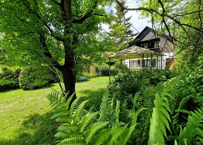 Hnizdo * Jetřichovice